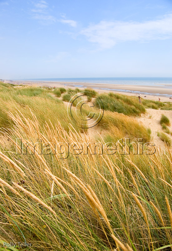 Sandy beach and dunes at Camber Sands