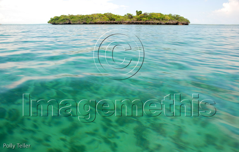 Fumba mangrove island ocean