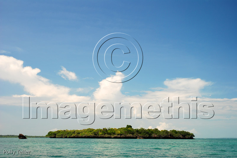 Fumba mangrove island ocean