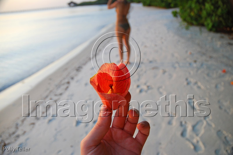 Fundu Beach Flower