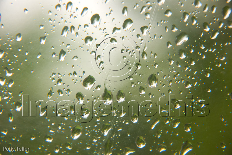 Raindrops Harbour Island
