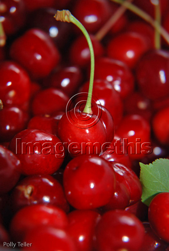 Cherries Mljet