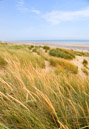 Sandy beach and dunes at Camber Sands