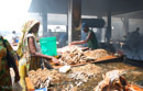 Dar Fish Market woman