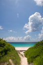 First view of Pink Sands Beach