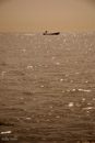 Fisherman silhouette Muscat