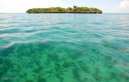 Fumba mangrove island ocean