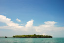 Fumba mangrove island ocean