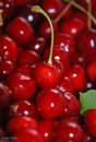 Cherries Mljet