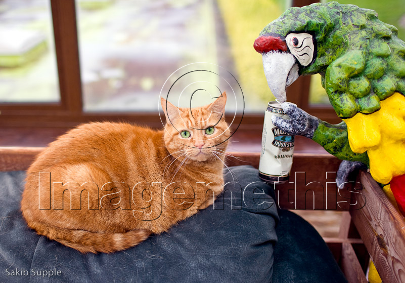 Hamish and his buddy