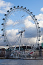 Millenium Wheel with a seagull